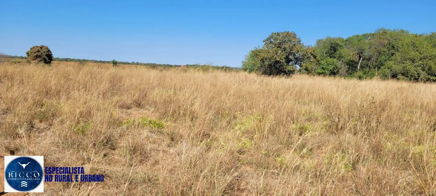 Foto 5 de Fazenda / Haras à venda, 100m2 em Mundo Novo - GO
