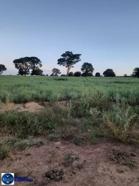 Foto 4 de Fazenda / Haras à venda, 100m2 em Mundo Novo - GO