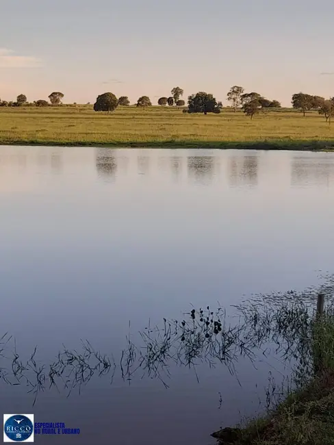 Foto 1 de Fazenda / Haras à venda, 100m2 em Mundo Novo - GO