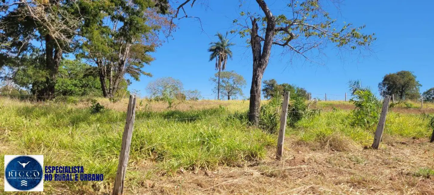 Foto 9 de Fazenda / Haras à venda, 100m2 em Mundo Novo - GO