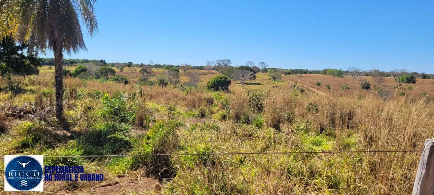 Foto 8 de Fazenda / Haras à venda, 100m2 em Mundo Novo - GO
