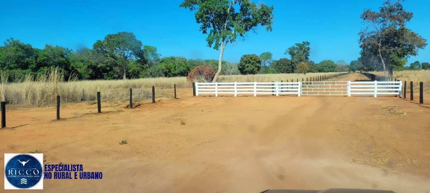 Foto 2 de Fazenda / Haras à venda, 100m2 em Mundo Novo - GO