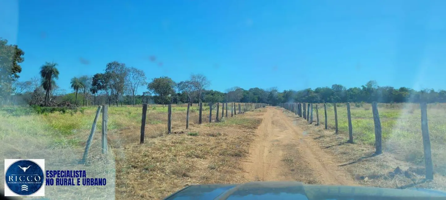 Foto 7 de Fazenda / Haras à venda, 100m2 em Mundo Novo - GO
