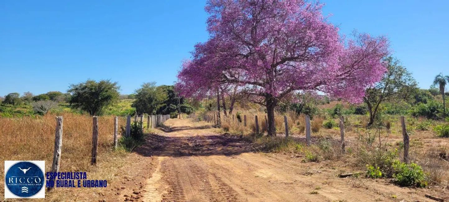 Foto 3 de Fazenda / Haras à venda, 100m2 em Mundo Novo - GO