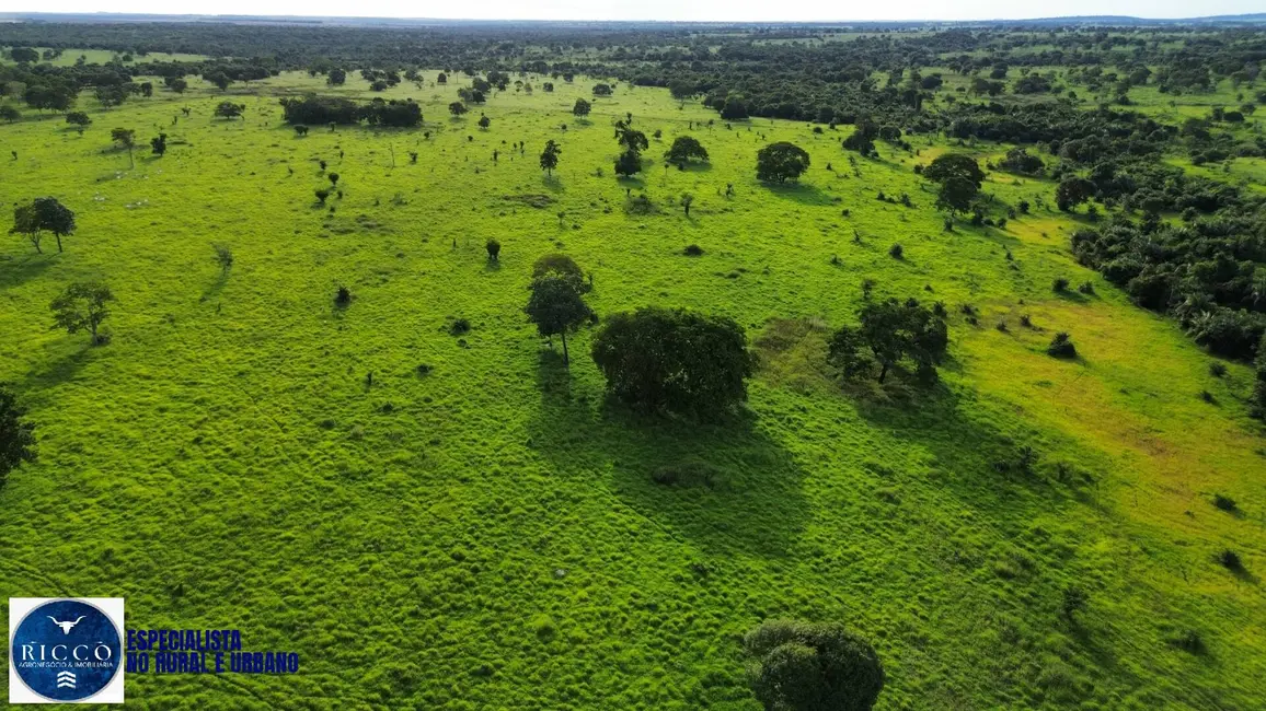 Foto 8 de Fazenda / Haras com 1 quarto à venda, 156m2 em Nova Crixas - GO