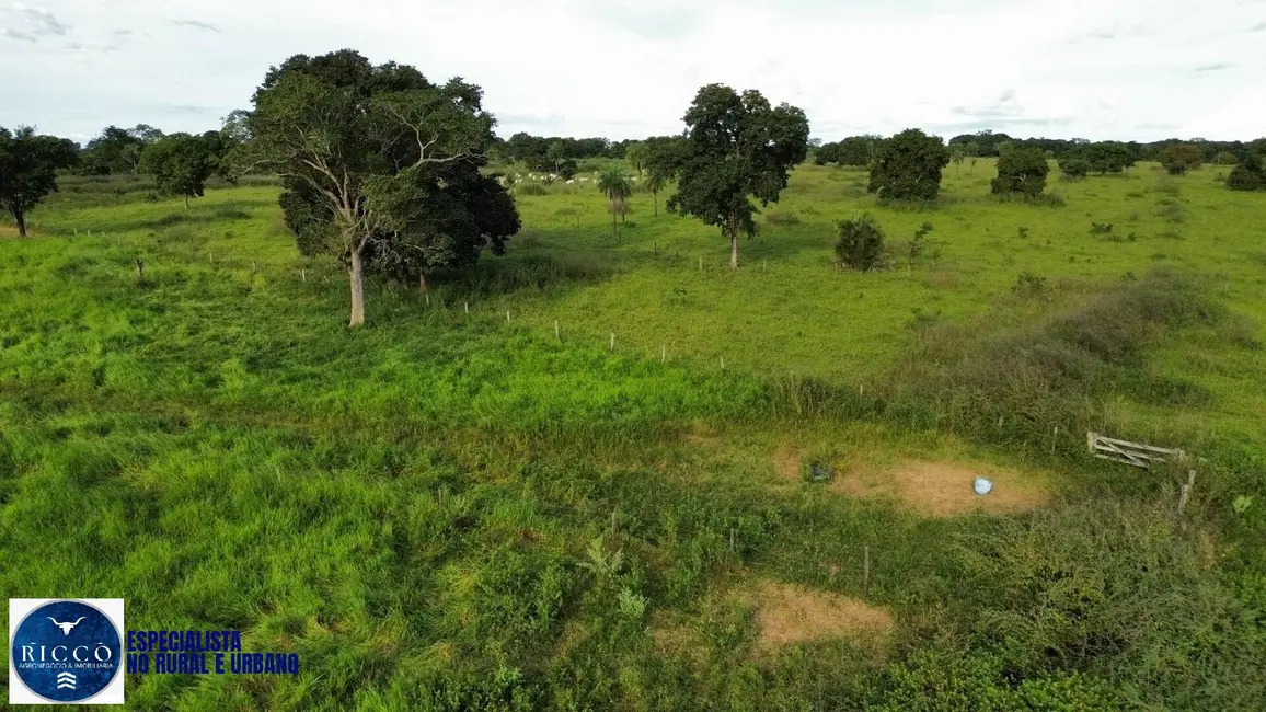 Foto 5 de Fazenda / Haras com 1 quarto à venda, 156m2 em Nova Crixas - GO