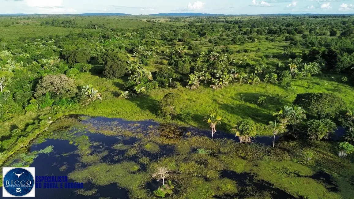 Foto 4 de Fazenda / Haras com 1 quarto à venda, 156m2 em Nova Crixas - GO