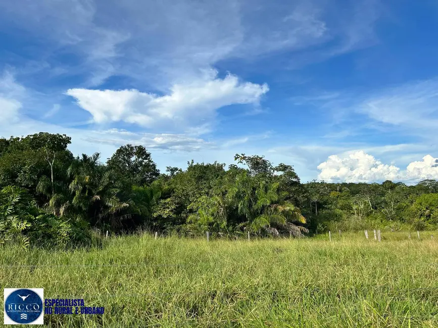 Foto 2 de Fazenda / Haras com 1 quarto à venda, 156m2 em Nova Crixas - GO