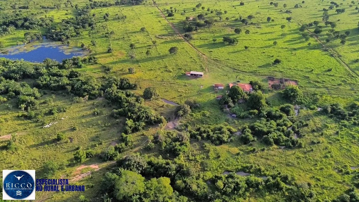 Foto 1 de Fazenda / Haras com 1 quarto à venda, 156m2 em Nova Crixas - GO