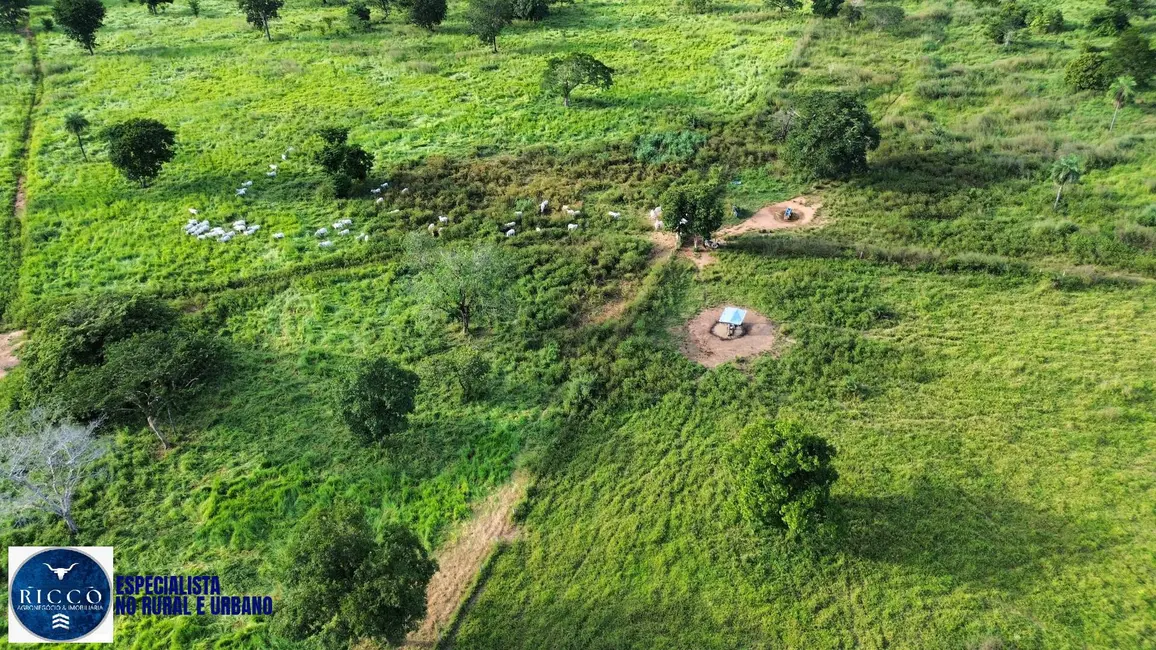 Foto 9 de Fazenda / Haras com 1 quarto à venda, 156m2 em Nova Crixas - GO