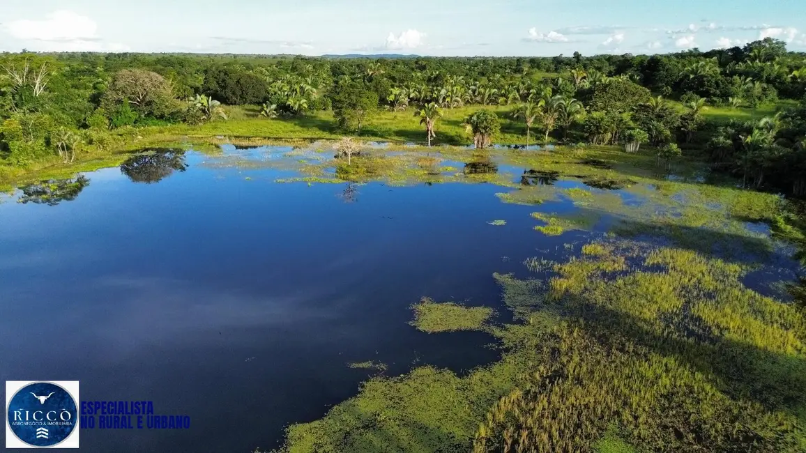 Foto 3 de Fazenda / Haras com 1 quarto à venda, 156m2 em Nova Crixas - GO