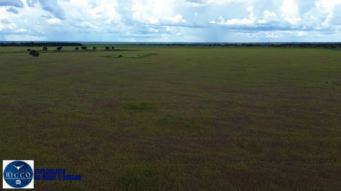 Foto 2 de Fazenda / Haras à venda, 145m2 em Nova Crixas - GO