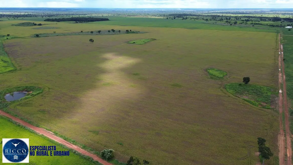 Foto 3 de Fazenda / Haras à venda, 145m2 em Nova Crixas - GO