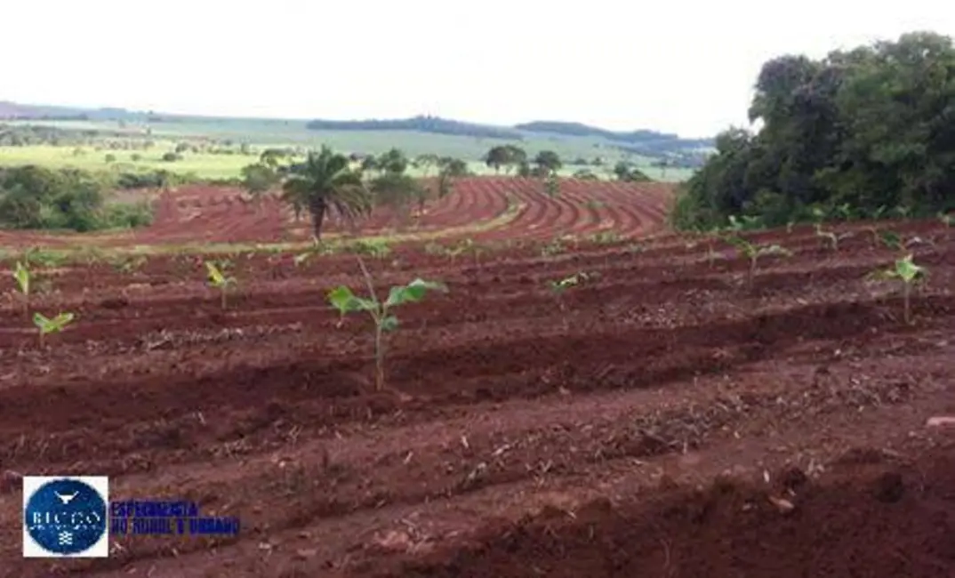 Foto 2 de Sítio / Rancho com 2 quartos à venda, 13m2 em Ceres - GO