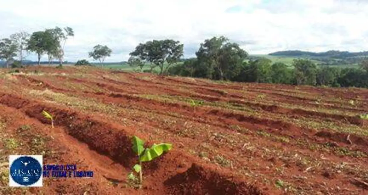 Foto 3 de Sítio / Rancho com 2 quartos à venda, 13m2 em Ceres - GO