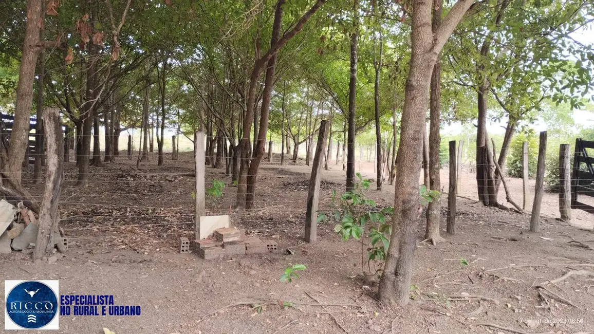 Foto 7 de Sítio / Rancho com 1 quarto à venda, 19m2 em Porangatu - GO