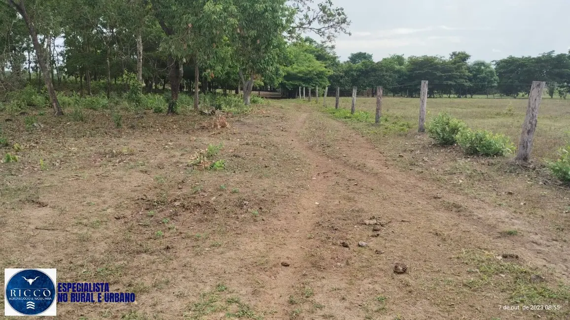 Foto 5 de Sítio / Rancho com 1 quarto à venda, 19m2 em Porangatu - GO