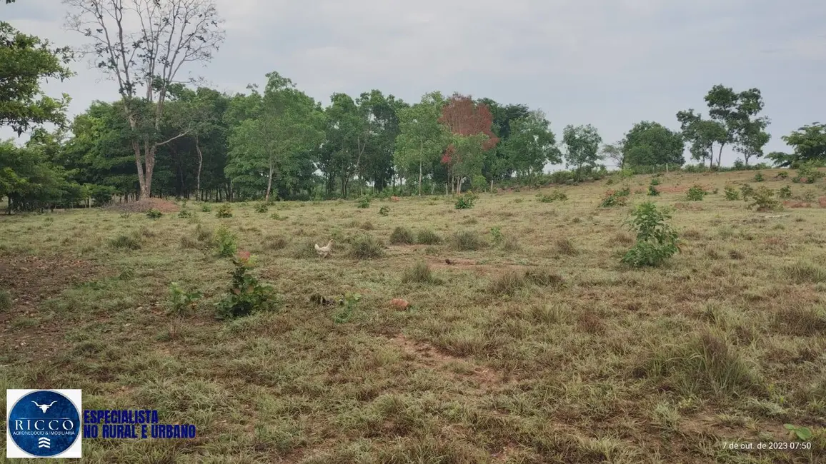 Foto 3 de Sítio / Rancho com 1 quarto à venda, 19m2 em Porangatu - GO