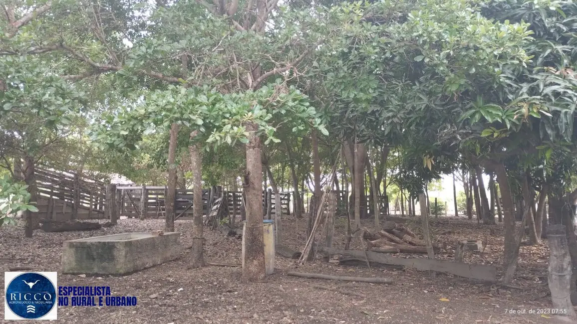 Foto 4 de Sítio / Rancho com 1 quarto à venda, 19m2 em Porangatu - GO