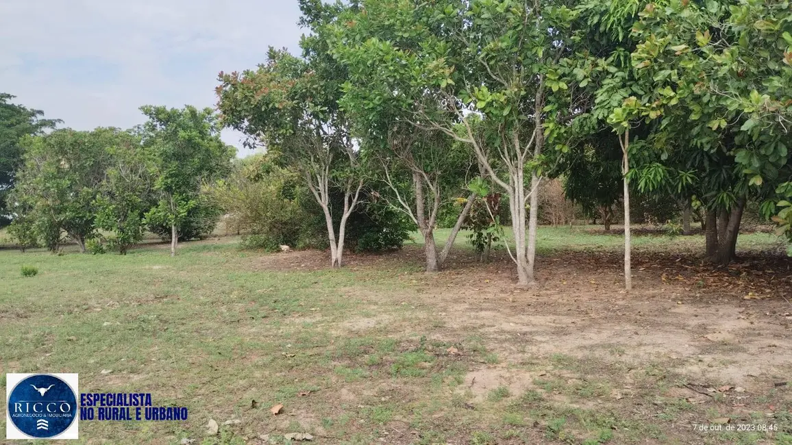 Foto 2 de Sítio / Rancho com 1 quarto à venda, 19m2 em Porangatu - GO