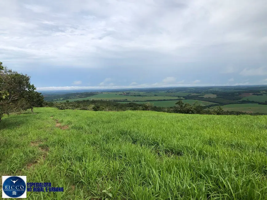 Foto 9 de Chácara com 4 quartos à venda, 14m2 em Marzagao - GO