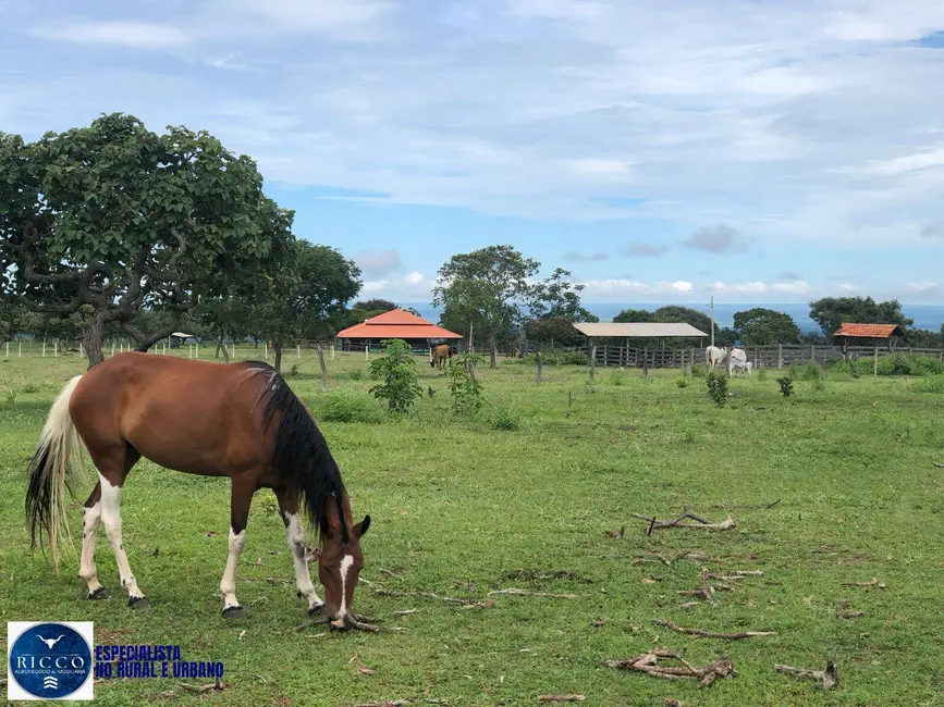 Foto 5 de Chácara com 4 quartos à venda, 14m2 em Marzagao - GO