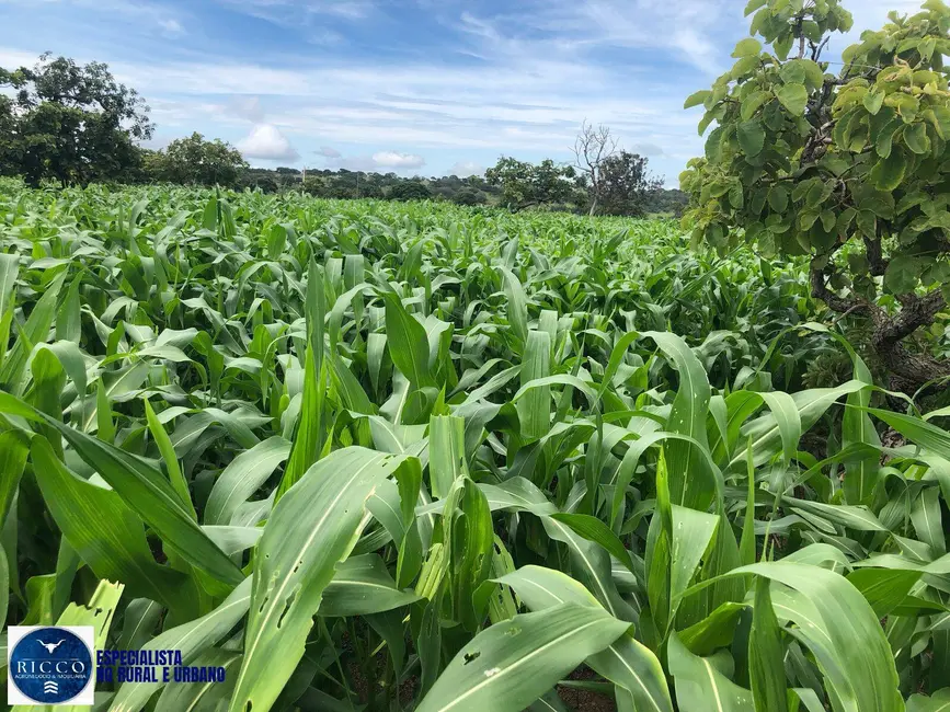 Foto 6 de Chácara com 4 quartos à venda, 14m2 em Marzagao - GO