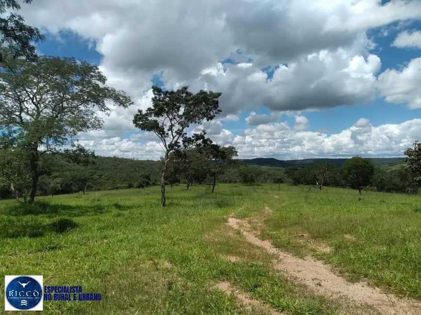 Foto 7 de Chácara com 4 quartos à venda, 52m2 em Orizona - GO