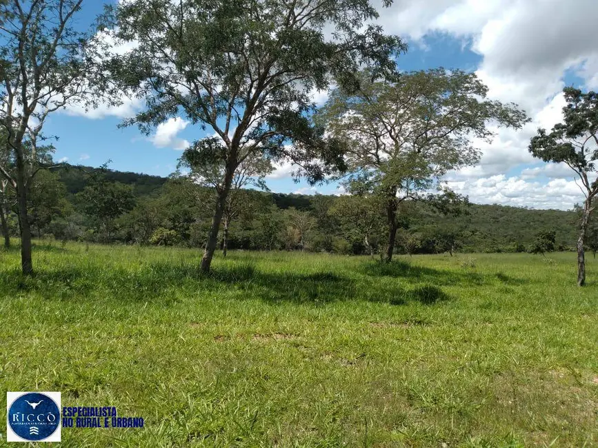 Foto 4 de Chácara com 4 quartos à venda, 52m2 em Orizona - GO