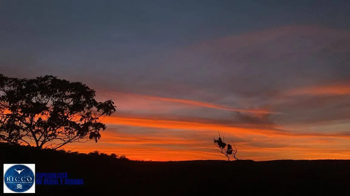 Foto 3 de Chácara com 4 quartos à venda, 52m2 em Orizona - GO