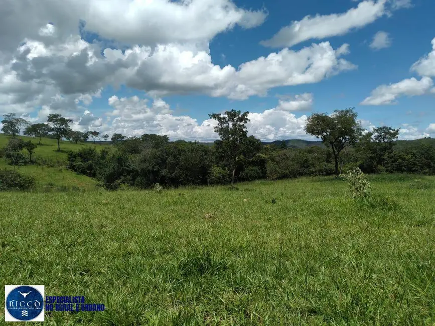 Foto 5 de Chácara com 4 quartos à venda, 52m2 em Orizona - GO