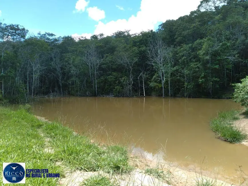 Foto 1 de Chácara com 4 quartos à venda, 52m2 em Orizona - GO