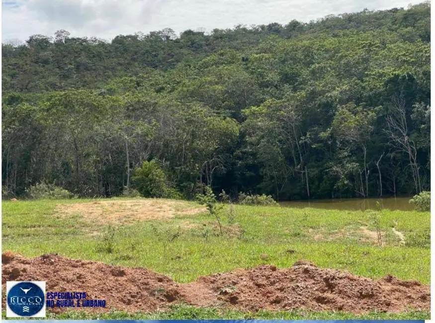 Foto 2 de Chácara com 4 quartos à venda, 52m2 em Orizona - GO