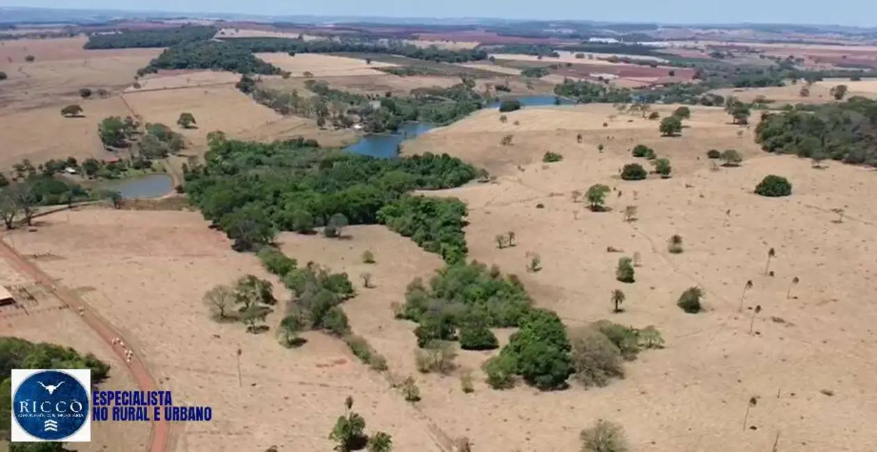 Sítio / Rancho com 6 quartos à venda, 8m2 em Neropolis - GO - imagem 9 Foto 9 de Sítio / Rancho com 6 quartos à venda, 8m2 em Neropolis - GO