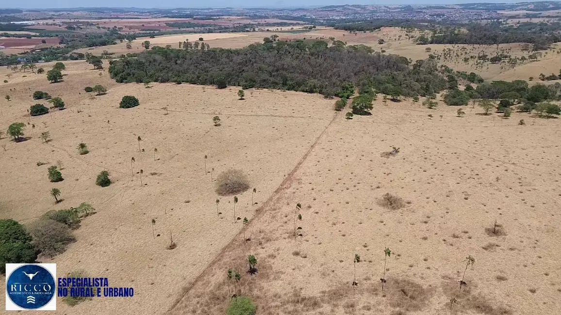 Sítio / Rancho com 6 quartos à venda, 8m2 em Neropolis - GO - imagem 4 Foto 4 de Sítio / Rancho com 6 quartos à venda, 8m2 em Neropolis - GO