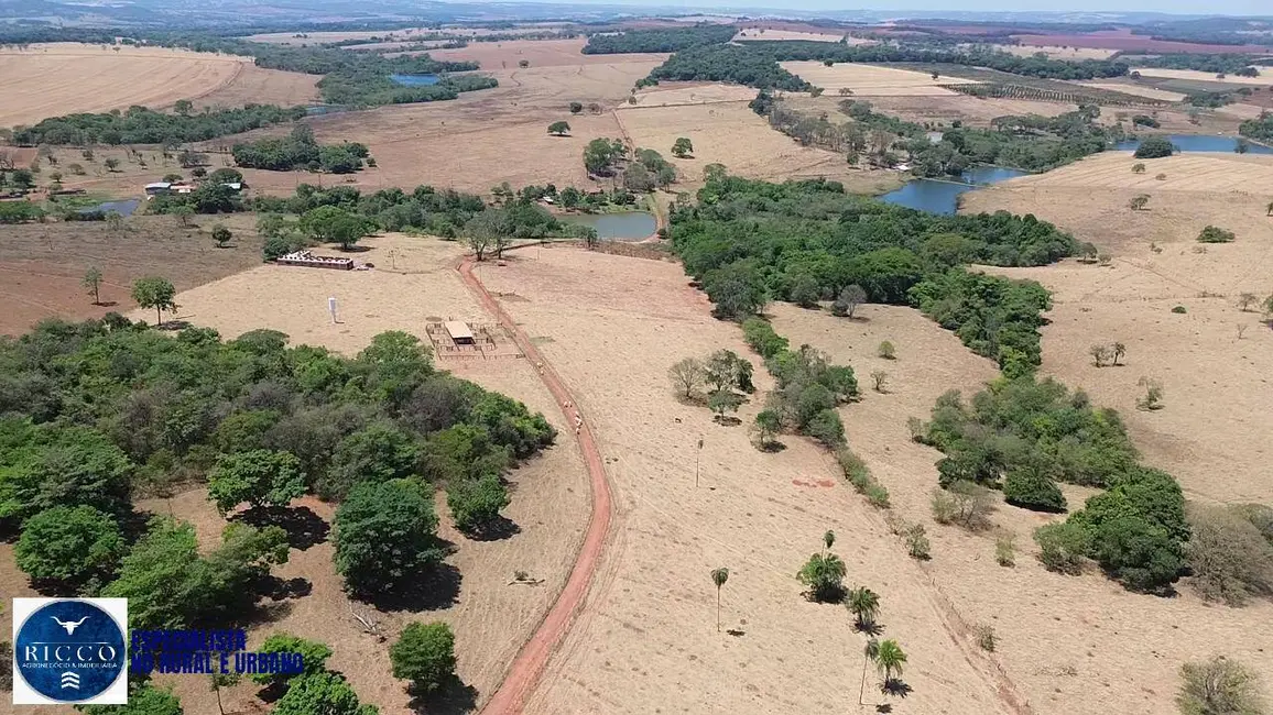 Sítio / Rancho com 6 quartos à venda, 8m2 em Neropolis - GO - imagem 6 Foto 6 de Sítio / Rancho com 6 quartos à venda, 8m2 em Neropolis - GO