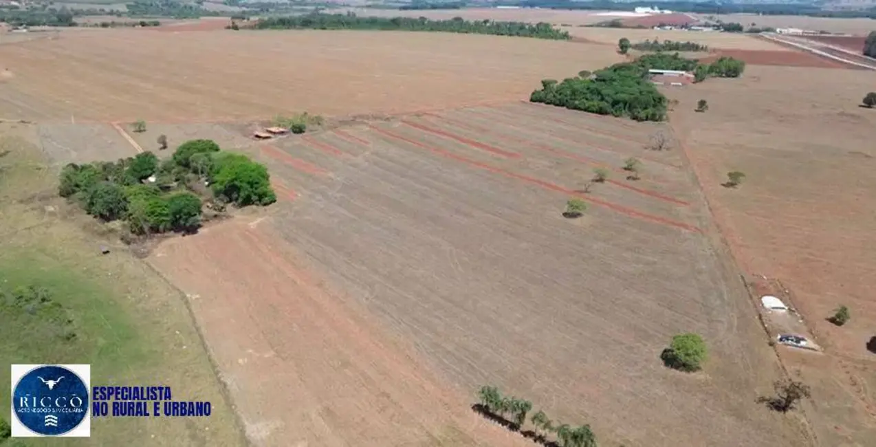 Foto 6 de Chácara com 4 quartos à venda, 8m2 em Inhumas - GO