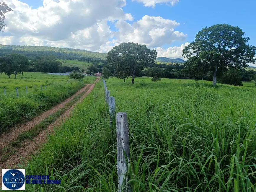 Foto 9 de Fazenda / Haras com 3 quartos à venda, 82m2 em Sao Luis De Montes Belos - GO