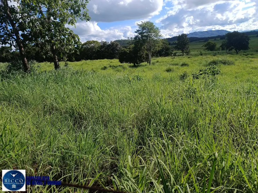 Foto 6 de Fazenda / Haras com 3 quartos à venda, 82m2 em Sao Luis De Montes Belos - GO