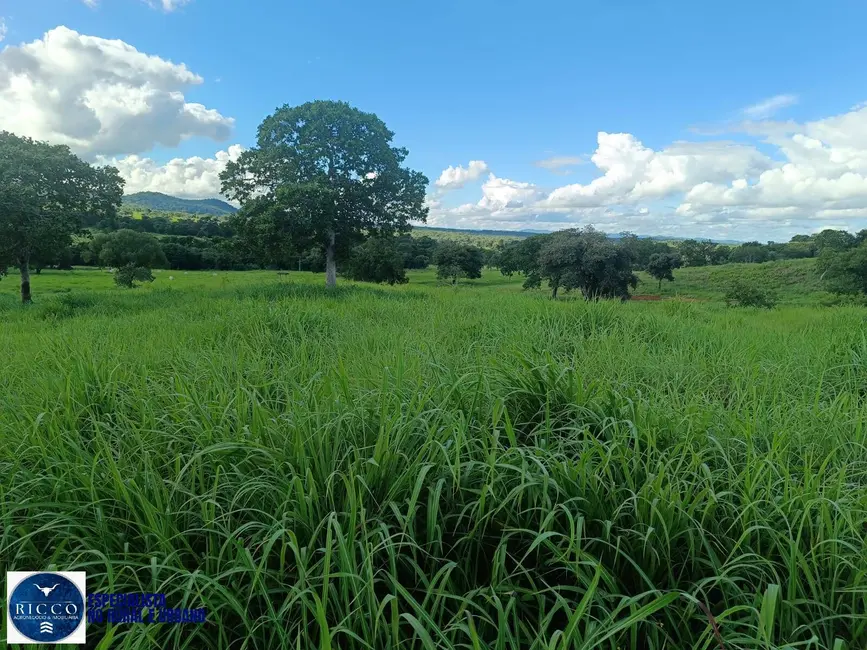 Foto 8 de Fazenda / Haras com 3 quartos à venda, 82m2 em Sao Luis De Montes Belos - GO