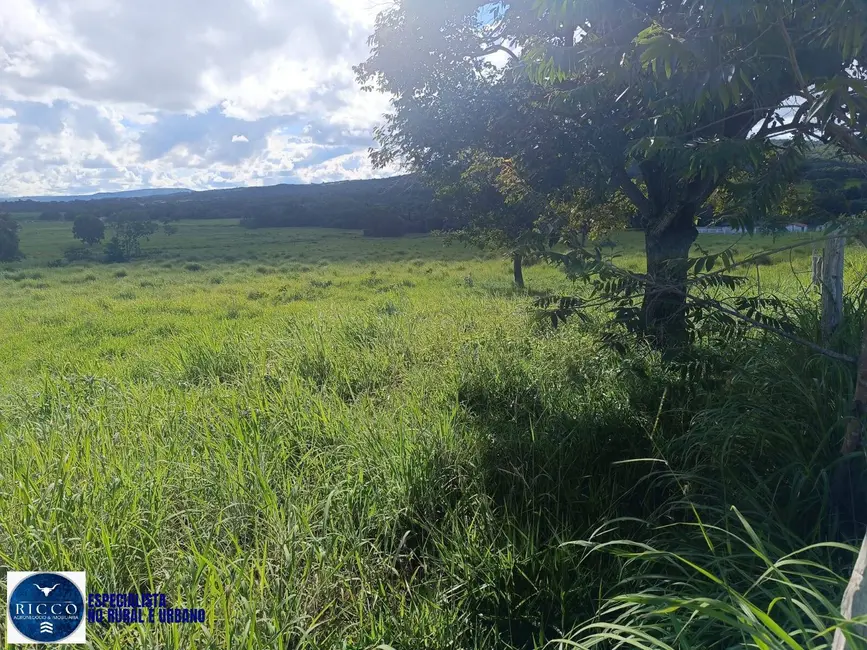 Foto 7 de Fazenda / Haras com 3 quartos à venda, 82m2 em Sao Luis De Montes Belos - GO