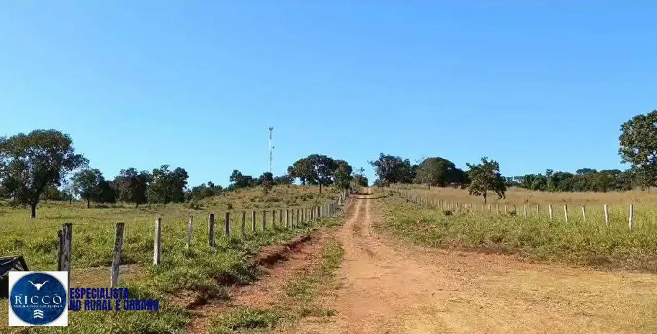 Foto 4 de Fazenda / Haras com 3 quartos à venda, 82m2 em Sao Luis De Montes Belos - GO