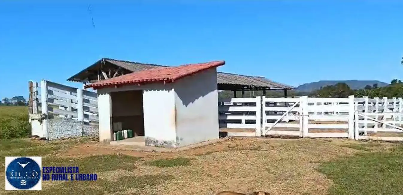 Foto 3 de Fazenda / Haras com 3 quartos à venda, 82m2 em Sao Luis De Montes Belos - GO