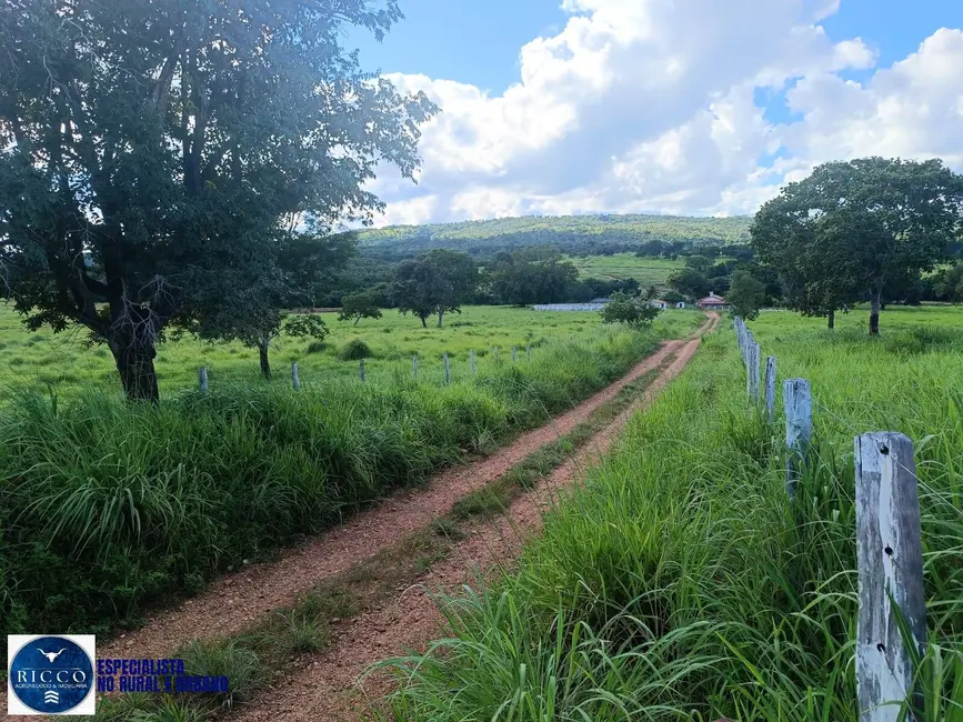 Foto 1 de Fazenda / Haras com 3 quartos à venda, 82m2 em Sao Luis De Montes Belos - GO