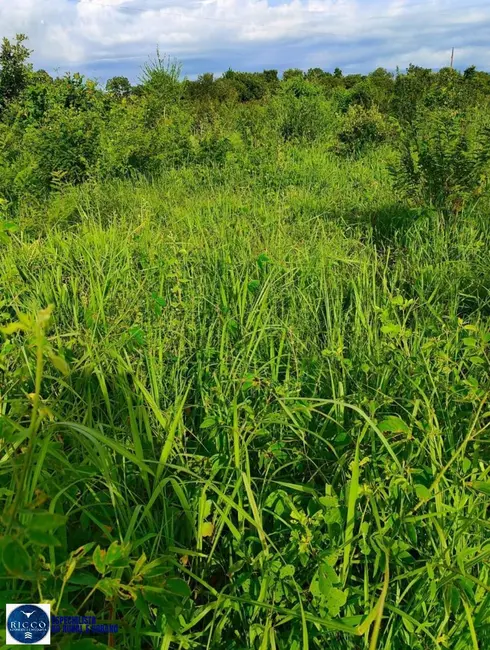 Foto 5 de Sítio / Rancho com 4 quartos à venda, 13m2 em Minacu - GO