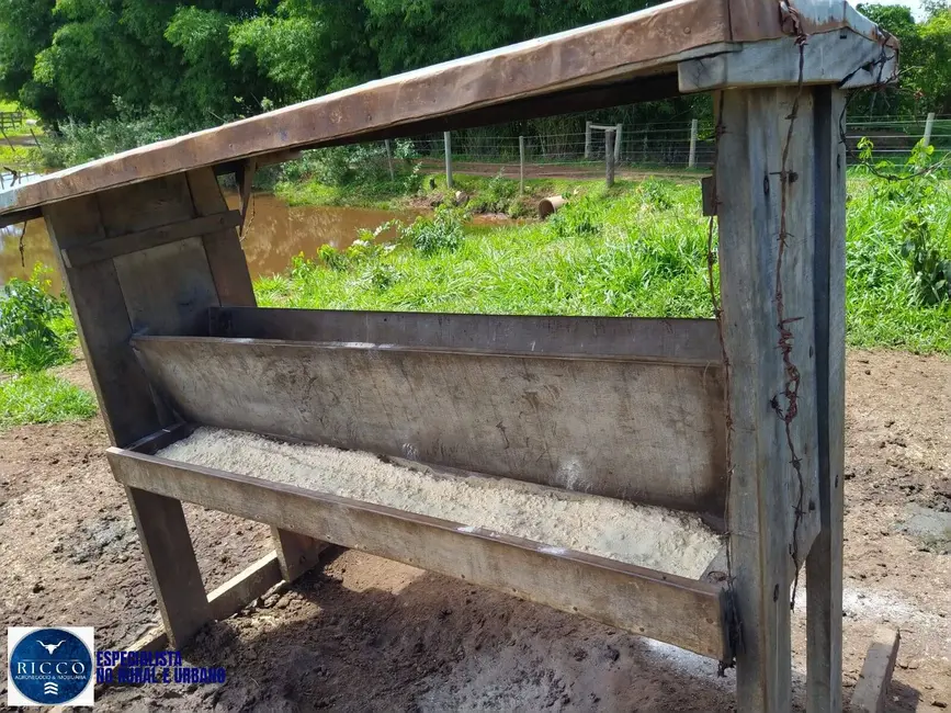 Foto 3 de Chácara à venda em Taquaral De Goias - GO
