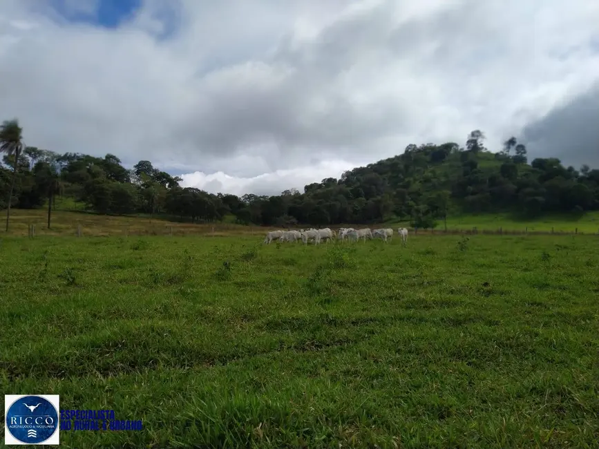 Foto 7 de Chácara à venda em Taquaral De Goias - GO