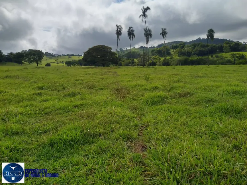 Foto 4 de Chácara à venda em Taquaral De Goias - GO