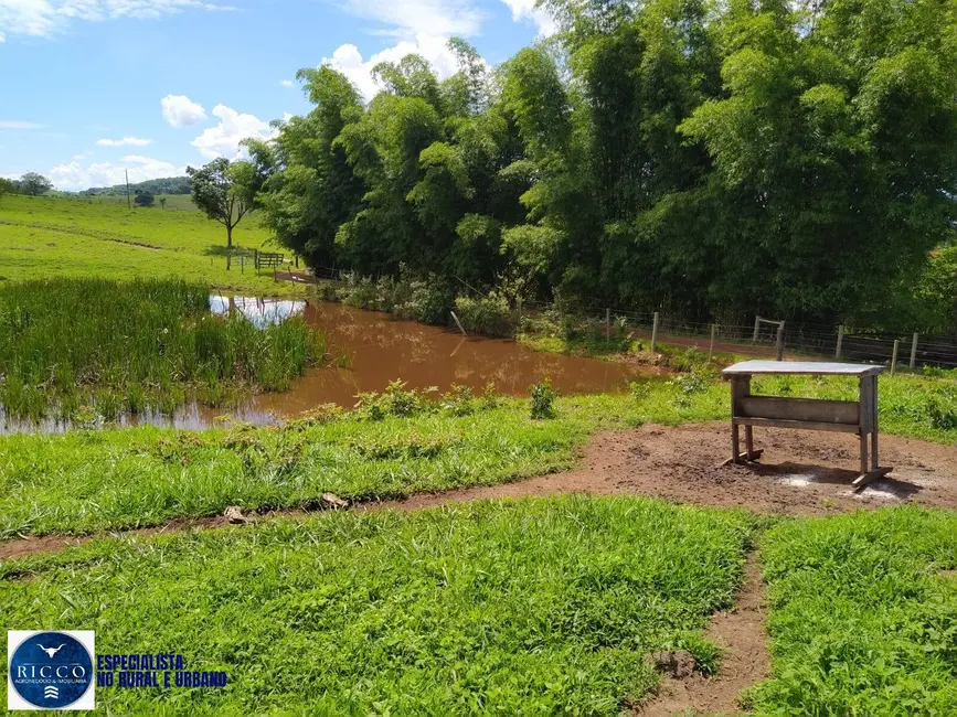 Foto 1 de Chácara à venda em Taquaral De Goias - GO