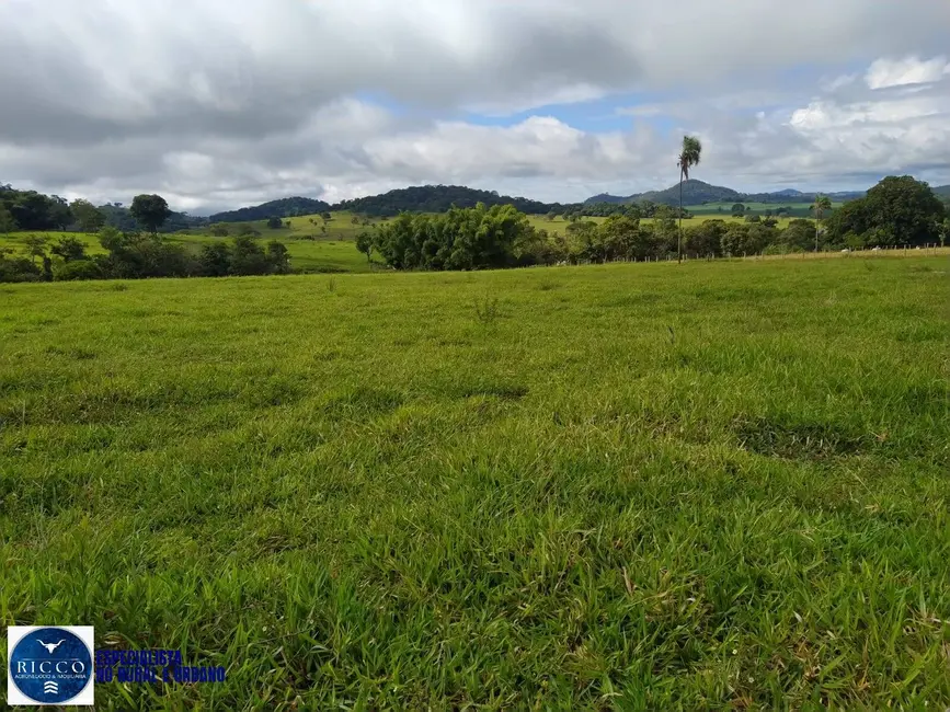 Foto 5 de Chácara à venda em Taquaral De Goias - GO